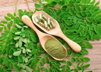 WHO और आयुष मंत्रालय मोरिंगा के बारे में क्या कहते हैं? वैज्ञानिक रिपोर्ट और स्वास्थ्य दृष्टिकोण