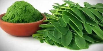 मोरिंगा बनाम पालक – पोषण तुलना रिपोर्ट | कौन सा ज्यादा पौष्टिक है?